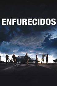 Enfurecidos